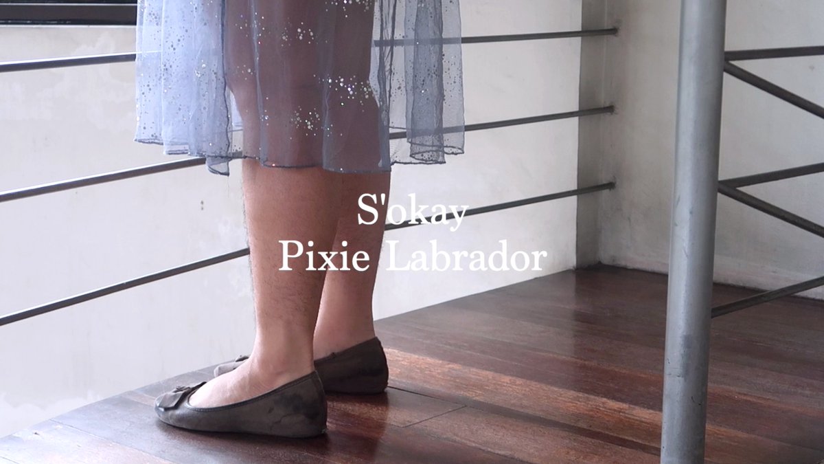 FairyFunFwee's tweet photo. The official lyric video for "S'okay" is out! π₯³β¨ Now you can sing along with me! π
#PickYourHeartbreakEP #PixieEP2π
https://t.co/I3BPHOKEa6 https://t.co/RZoIafUZwy