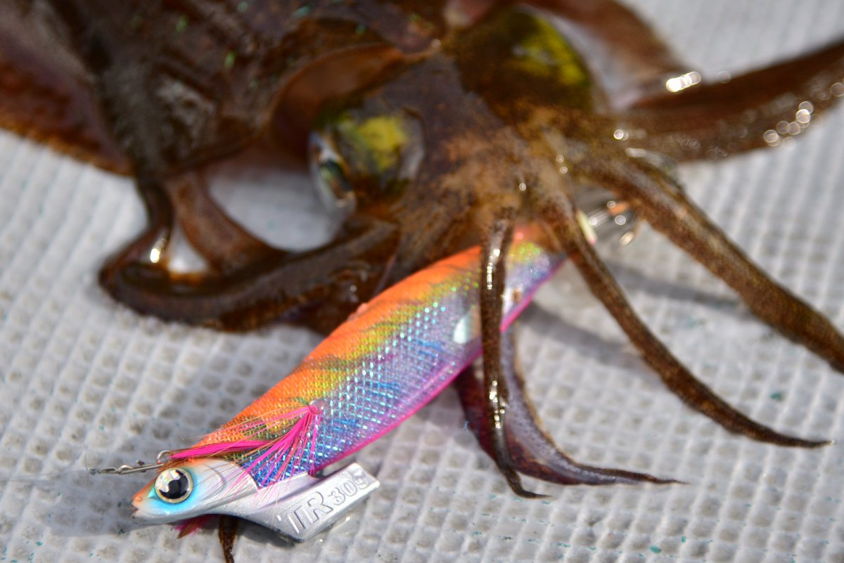 Yamashita Maria Yamashita Maria Twitter