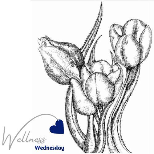 Every week we post a #WellnessWednesday article to our team through our intranet and this week we are promoting #MentalHealthAwarenessWeek2021 Following the campaign by mentalhealth-uk.org we are to getting involved by downloading the Tulip and planting it in our windows💙
