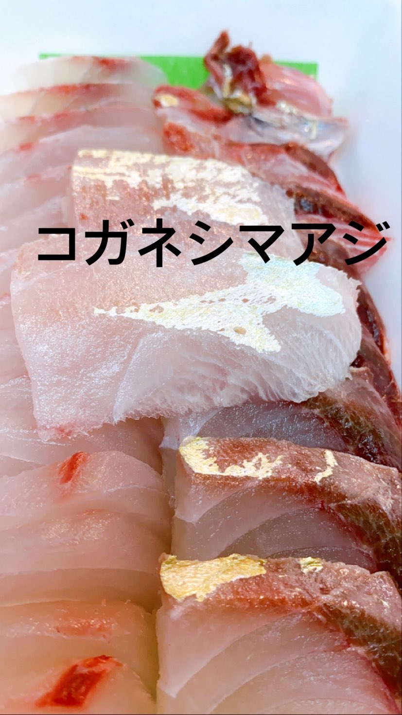 シマアジ好き Twitter Search Twitter