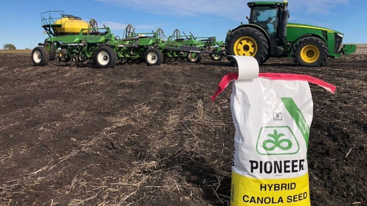 pioneerseedsau's tweet photo. Pioneer® canola demonstration blocks being sown between Edgeroi &amp; Yallaroi in Northern NSW. Pioneer® canola Clearfield® hybrids 43Y92CL, 44Y94CL &amp; 45Y95CL have been planted. Look out for field days in the near future. https://t.co/zlHjnITrRc