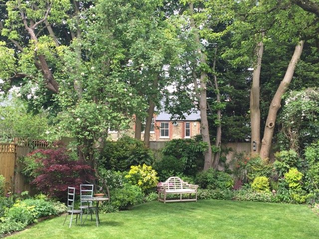 MHDHS Member Ian &amp; Viv Roberts's garden at 28 Princes Avenue, Muswell Hill, London, N10 3LR is opening on Sunday 16 May (2:00-6:00pm) as part of the Princes Avenue Gardens Group Opening for the NGS. For further information please visit muswellhillgardeners.co.uk/gardens.php#27. #NGS #opengarden