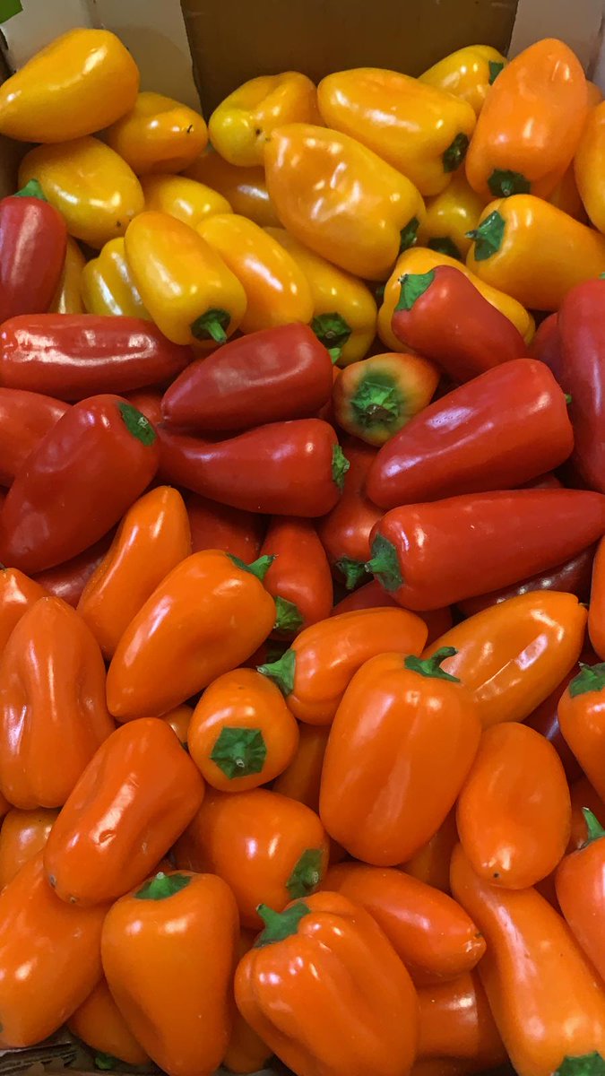 NaturaFirst's tweet photo. Red Habanero🌶️, Birds Eye Chillies🥵, Sweet Bites 🤤and Nijasol Cherry Vine🍅 just arrived with us🚚! Don´t miss the opportunity and give us a call📞 to enjoy as much as we do😋! #Chillicious #NicolasGarden #Nijasol https://t.co/kKsLGUrWex