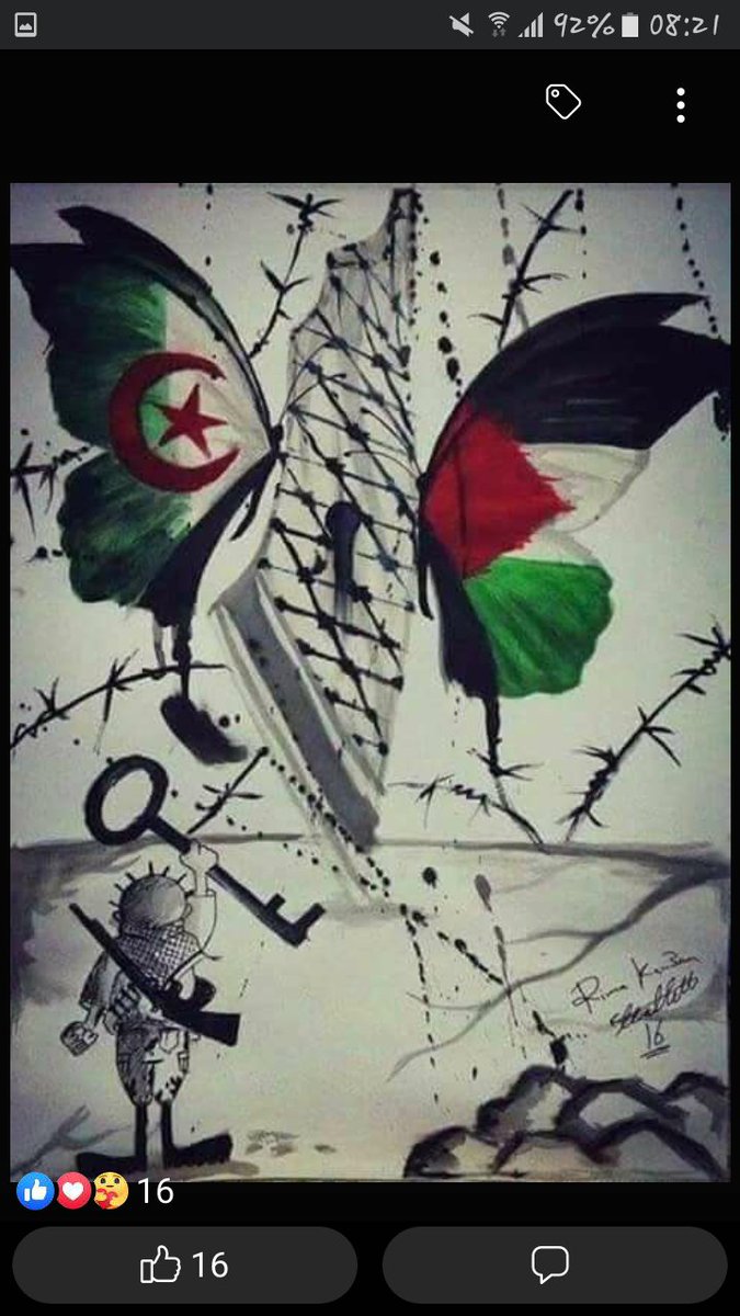 AoufiSoundous's tweet photo. #GazaUnderAttack https://t.co/6UvJ0Xi2na