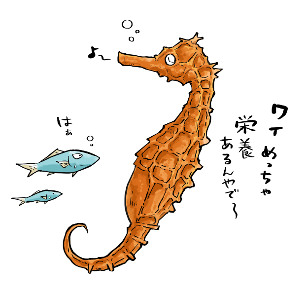 いよいよ明日発売 