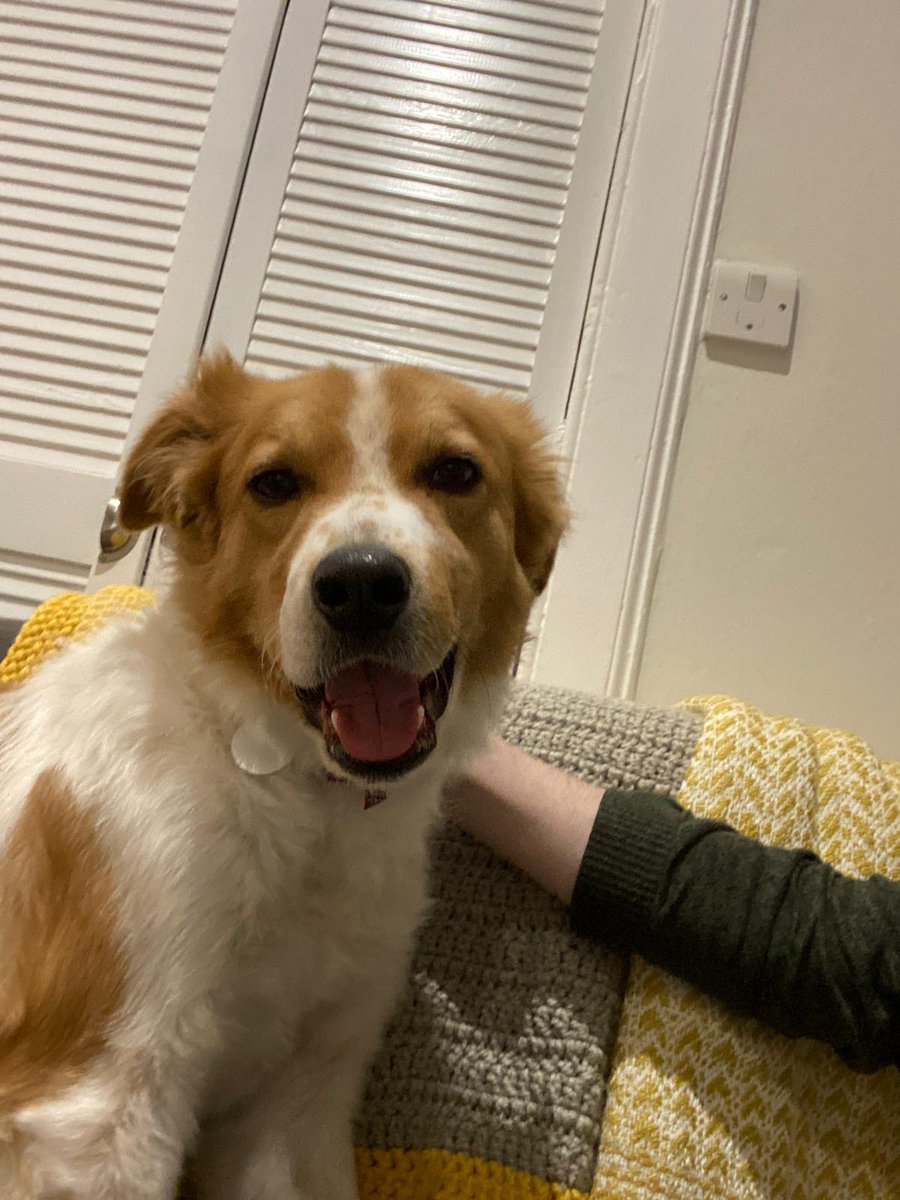 Zara Gilmour tweet media