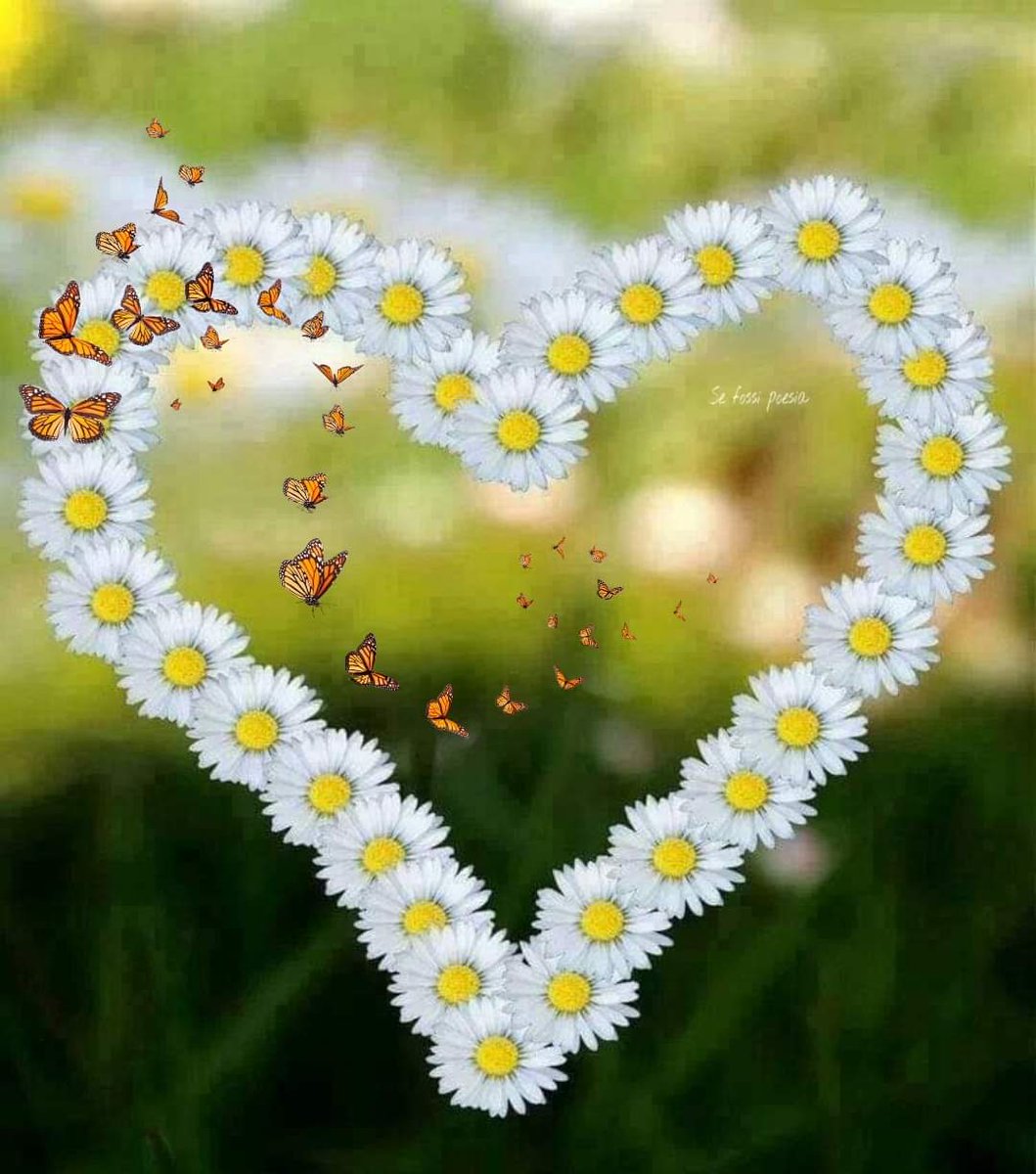 79Emmaus's tweet photo. @lori_gianna @MolaschiClara @CristinaShonny @betyzapi @Cristin97215062 @giorgio_grandi @Aquilottoblu @massimo3651 @Marilu08714243 @RBarbasso @guagnano_paolo @ArgentonViviana @RobertoGranai @marcovolpicell @ToniaAntonella @davidedigirola1 @dicuonzobt @usai1951 @RosettaBarbass1 @angelichina2 @muracristina1 https://t.co/paDN1A0xVa