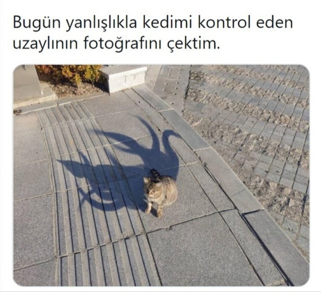 Nidaime tweet media