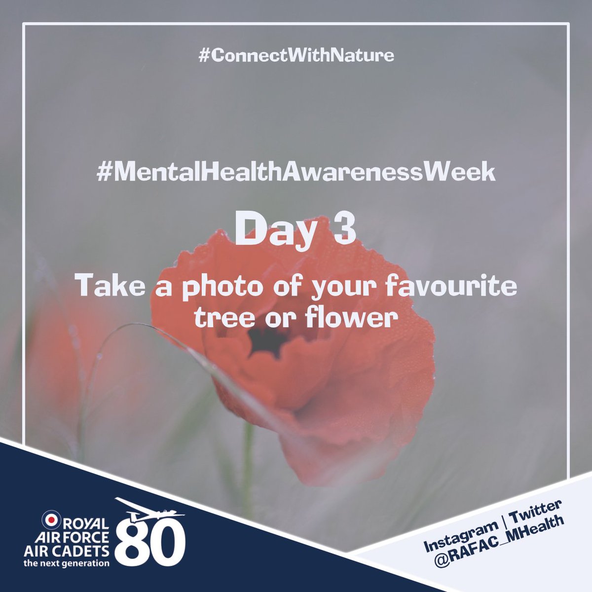 Our tip to #ConnectWithNature on day 3 of #MentalHealthAwarenessWeek is to take a 📸 of your favourite 🌳 or 🌻

Let's fill social media with colour today - and don't forget to tag us and <a href="/aircadets/">RAF Air Cadets</a> in all of your awesome photos!