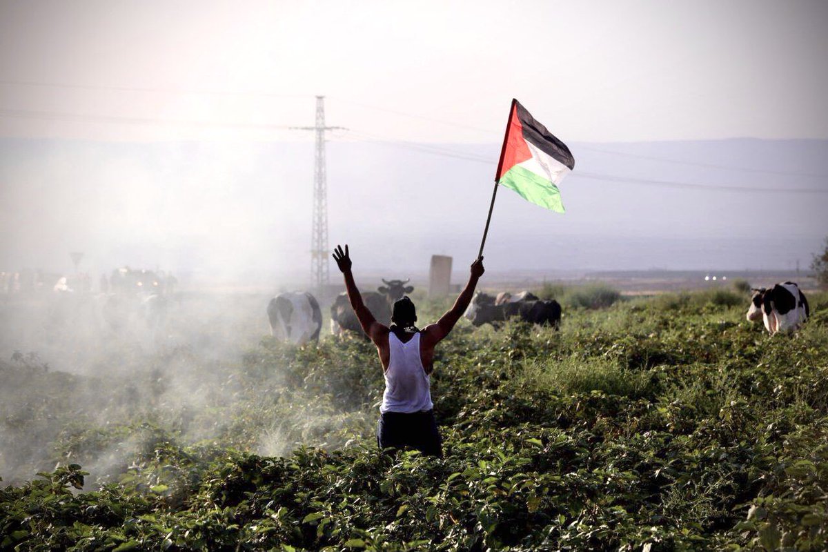 Kudüs özgür olana dek...

#FreePalestine
#GazaUnderAttack