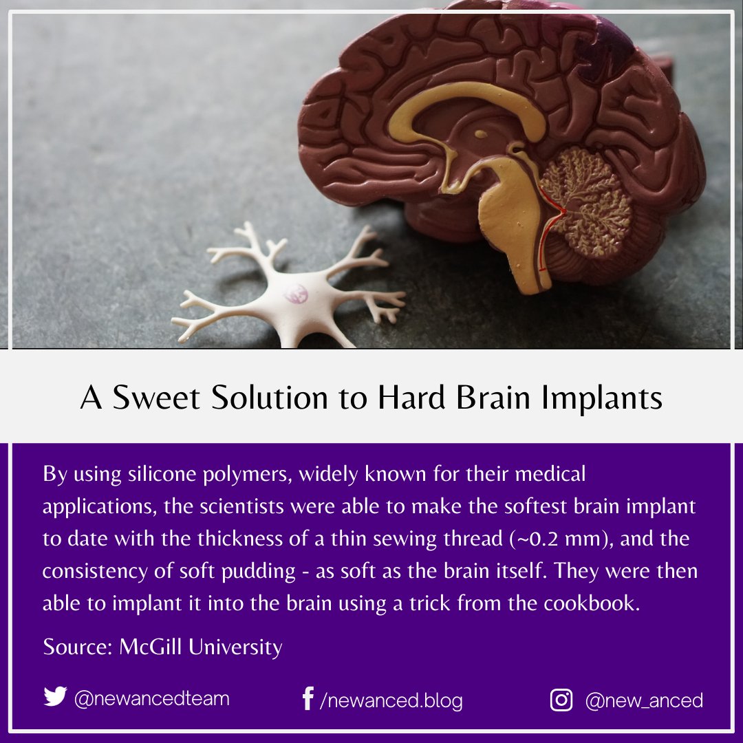 sciencenstuf's tweet photo. A Sweet Solution to Hard Brain Implants

Source: McGill University

📷 Robina Weermeijer on Unsplash

#science #news #brainimplants #siliconepolymers #medicalapplications #brain #neurologicaldysfunction #electricalpulses #epilepsy #mcgilluniversity

https://t.co/Ooc2y1VYBO https://t.co/jCYWpmGaL0
