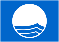 Port Segur-Calafell tweet media