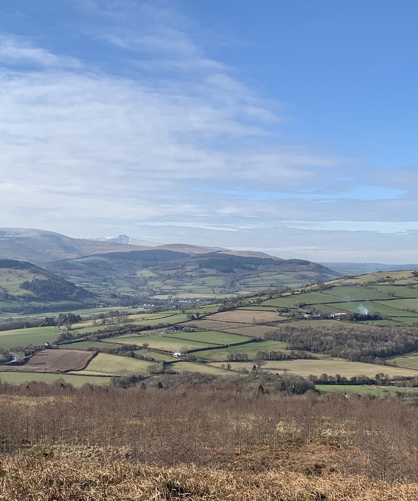 Welsh Venison Centre tweet media