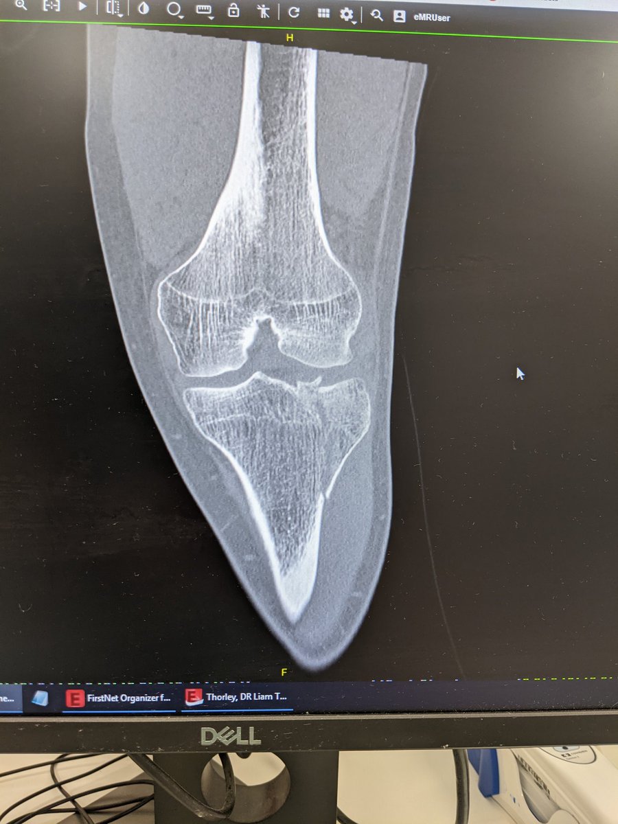 Liam Thorley tweet media