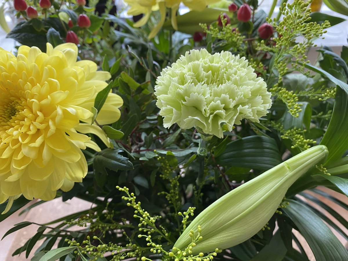 Donderdag 13 mei en vrijdag 14 mei zijn wij gesloten. Maandag 17 mei kun je weer met al je communicatievragen bij ons terecht. 

Op de foto het prachtige boeket dat wij hebben gekregen van Humanitas Lelystad-Dronten ter ere van ons 20-jarig bestaan. Nogmaals dank!