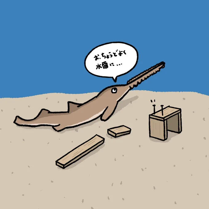 「カナヅチを探してるDIY好きのノコギリサメ」

 #イラスト #お絵かき #DIY #illustration 