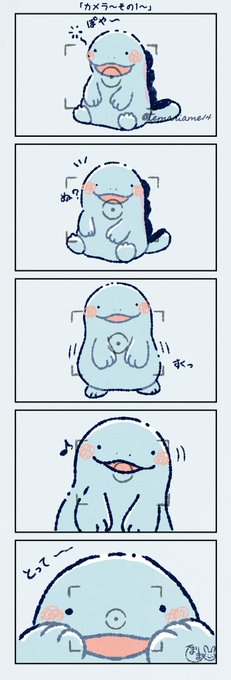 カメラ好きなヌオー📷*・ 