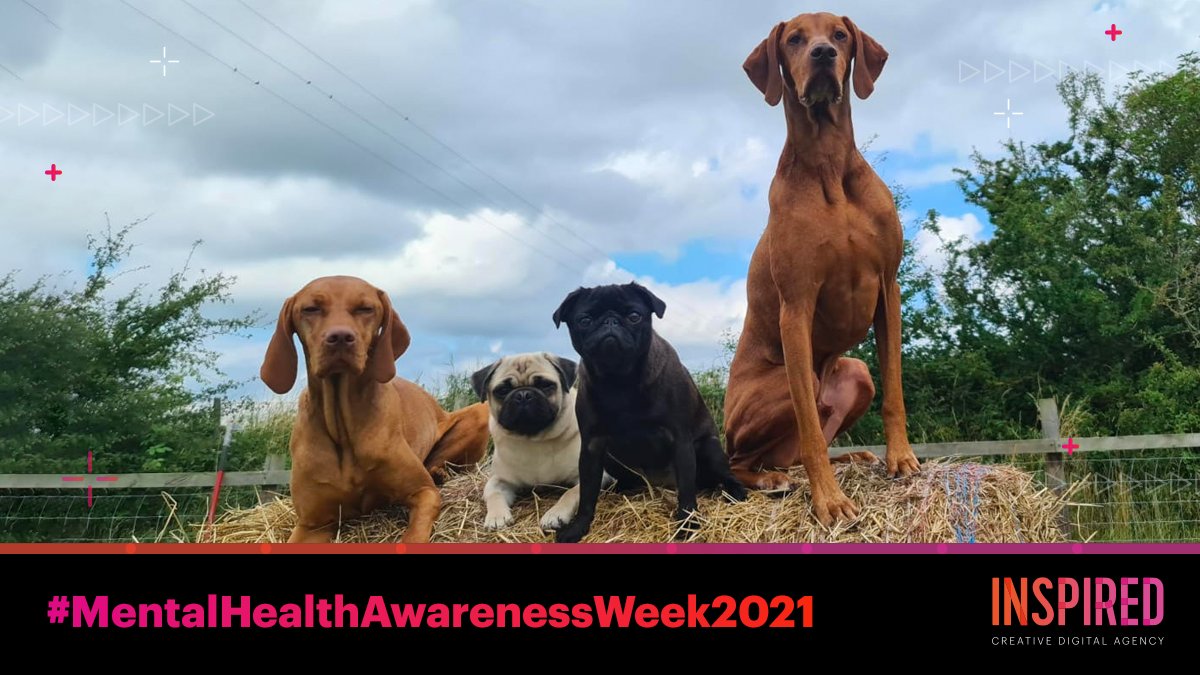 Inspired Agency tweet media