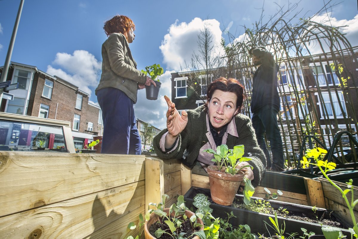 GemeenteDenHaag's tweet photo. Eten uit de stad, schone natuur 🌱en een toegankelijke stad. Over deze én andere onderwerpen lees je in de nieuwe #Stadskrant 🗞️ van 12 mei.
Te vinden als bijlage in @deposthoorn, @DeScheveninger of op https://t.co/VfqhhSMxiK. https://t.co/UU2Uxi2o3a