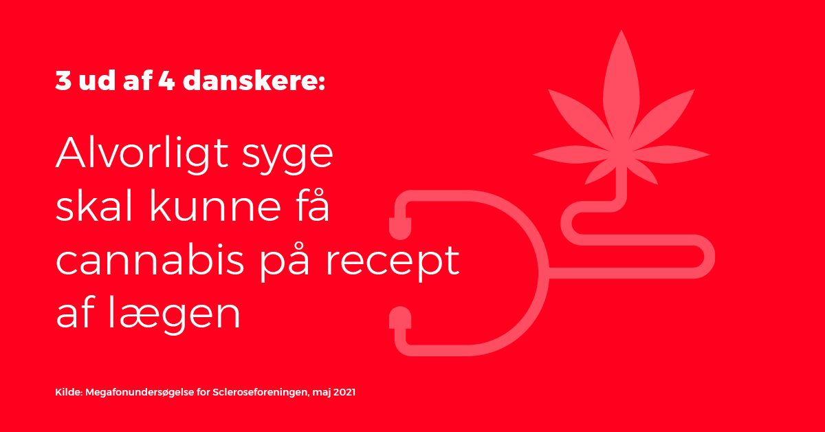 Sclerose_dk's tweet photo. Ny undersøgelse: Stort flertal af danskere bakker op om medicinsk cannabis #dkpol #sundpol @DanskePatienter  https://t.co/h5ZOdREQjG https://t.co/n19JdjzvpS