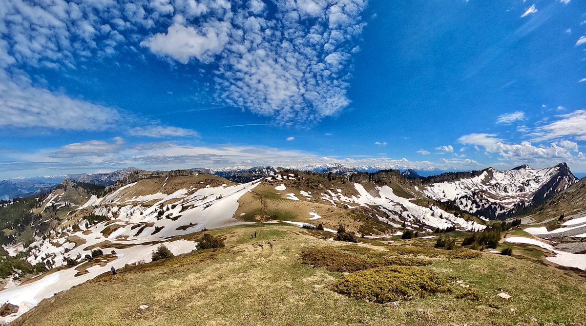 Col de la Sure #panorama #grandesure #randonnée #jpeuxpasjaimontagne #jpeuxpasjairando #chartreuse #chartreusetourisme #massifchartreuse #alpes #alps #alpesishere #iseretourisme #iserephotographie #auvergnerhonealpestourisme #nature #naturephotography #naturelovers #gopro