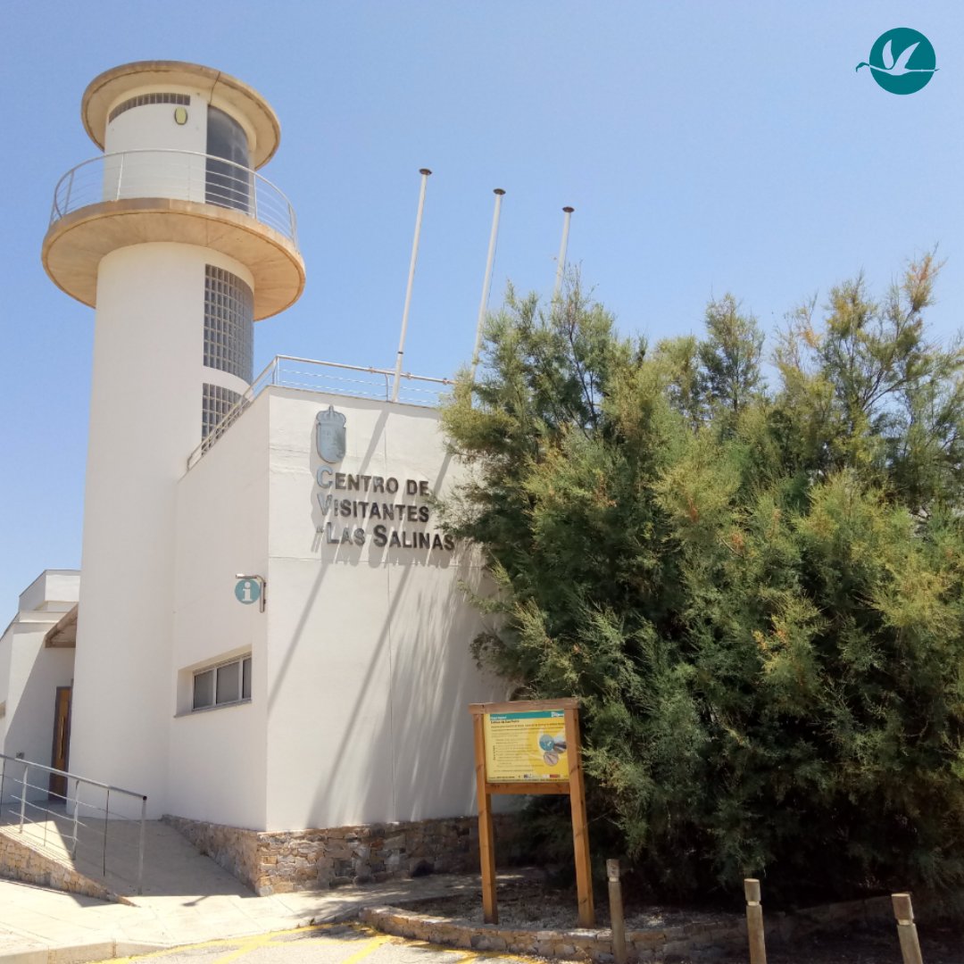 SalinasSPedroPR's tweet photo. En #SalinasSPedroPR seguimos de celebración 🎉😃
💙 La Senda de los Tarays se estrena como #senderoazul 🌳
💙 El #CVLasSalinas renueva como #centroazul 🏡 https://t.co/gYBIb3I7Fz