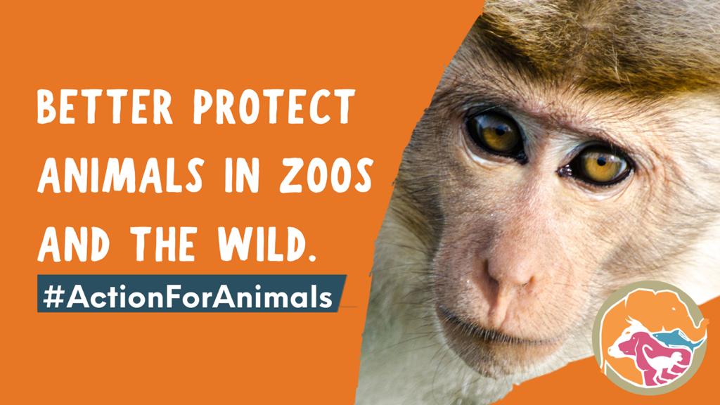 Today we’re launching our action plan for animal welfare. 

This plan sets our approach to improve animal welfare in our homes, in our zoos, in the wild & abroad.

#ActionForAnimals