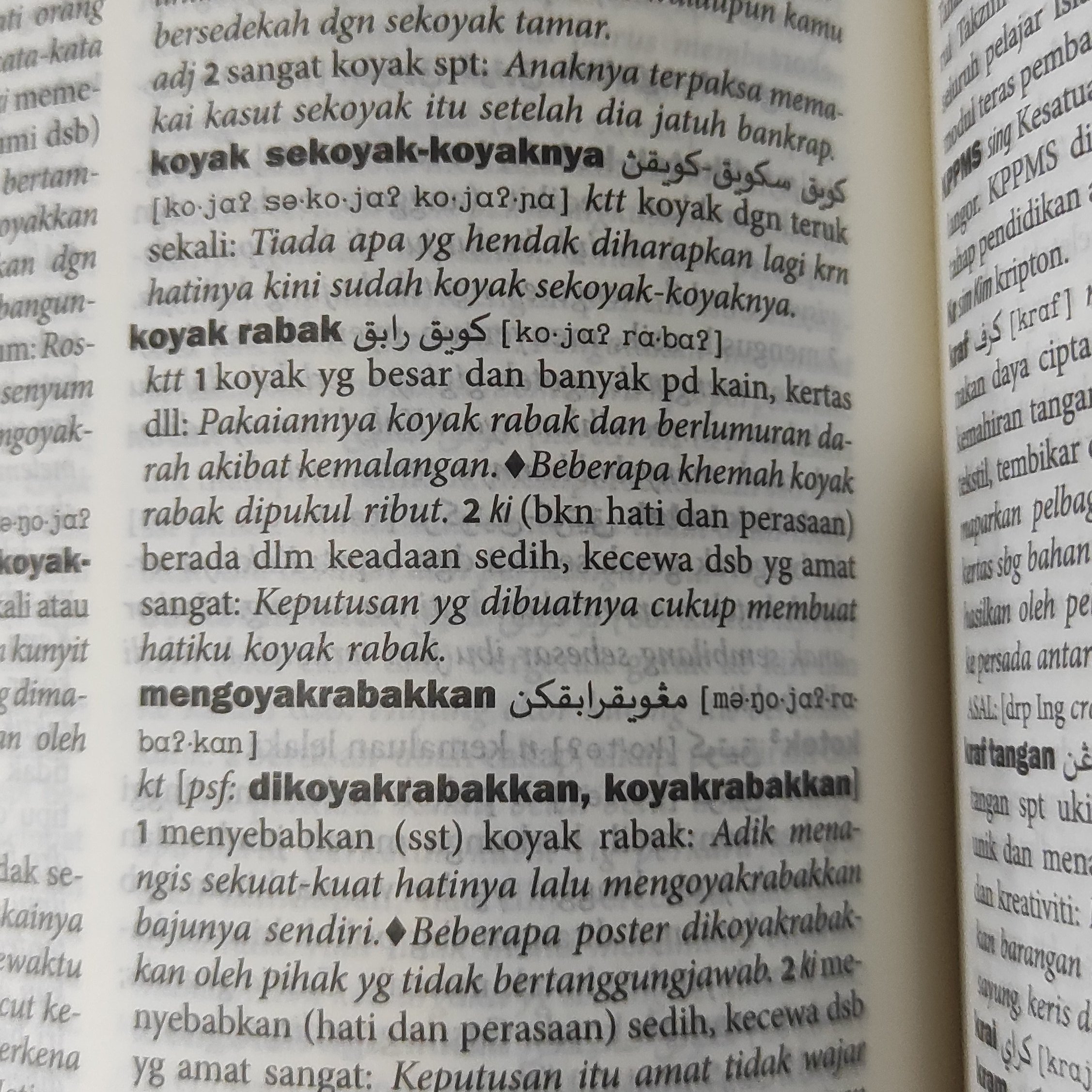 Meaning of koyak