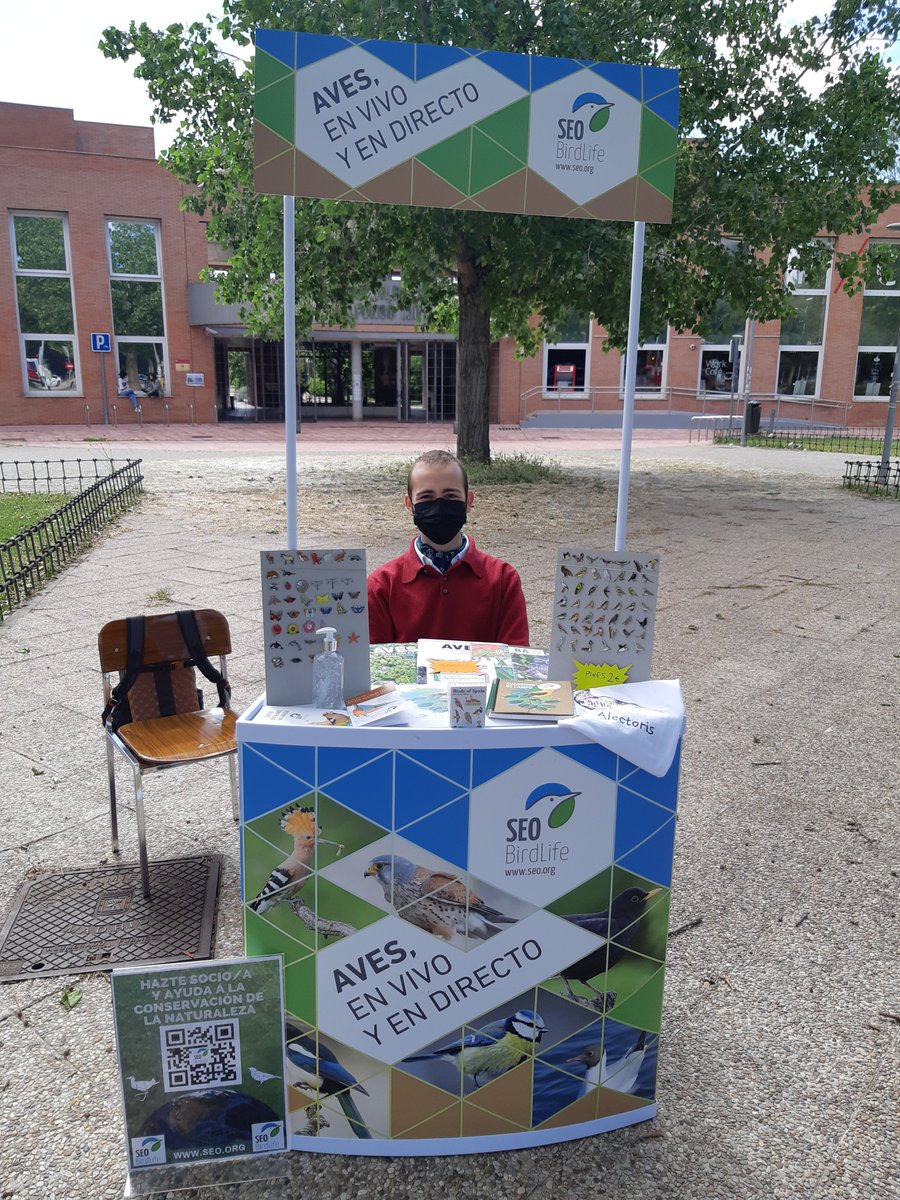 SEOAlectoris's tweet photo. Volvemos con las #AvesEnVivoyEnDirecto frente al @BotanicoUCM 🍃 al lado de nuestra facultad @BiologiaUcm 
Tenemos merchandising de @SEO_BirdLife, pines 🌼, revistas gratis y muchas ganas de informaros y enseñaros la biodiversidad del campus🐥

¡¡Pasad por aquí!! https://t.co/bBHCL0qq5Q