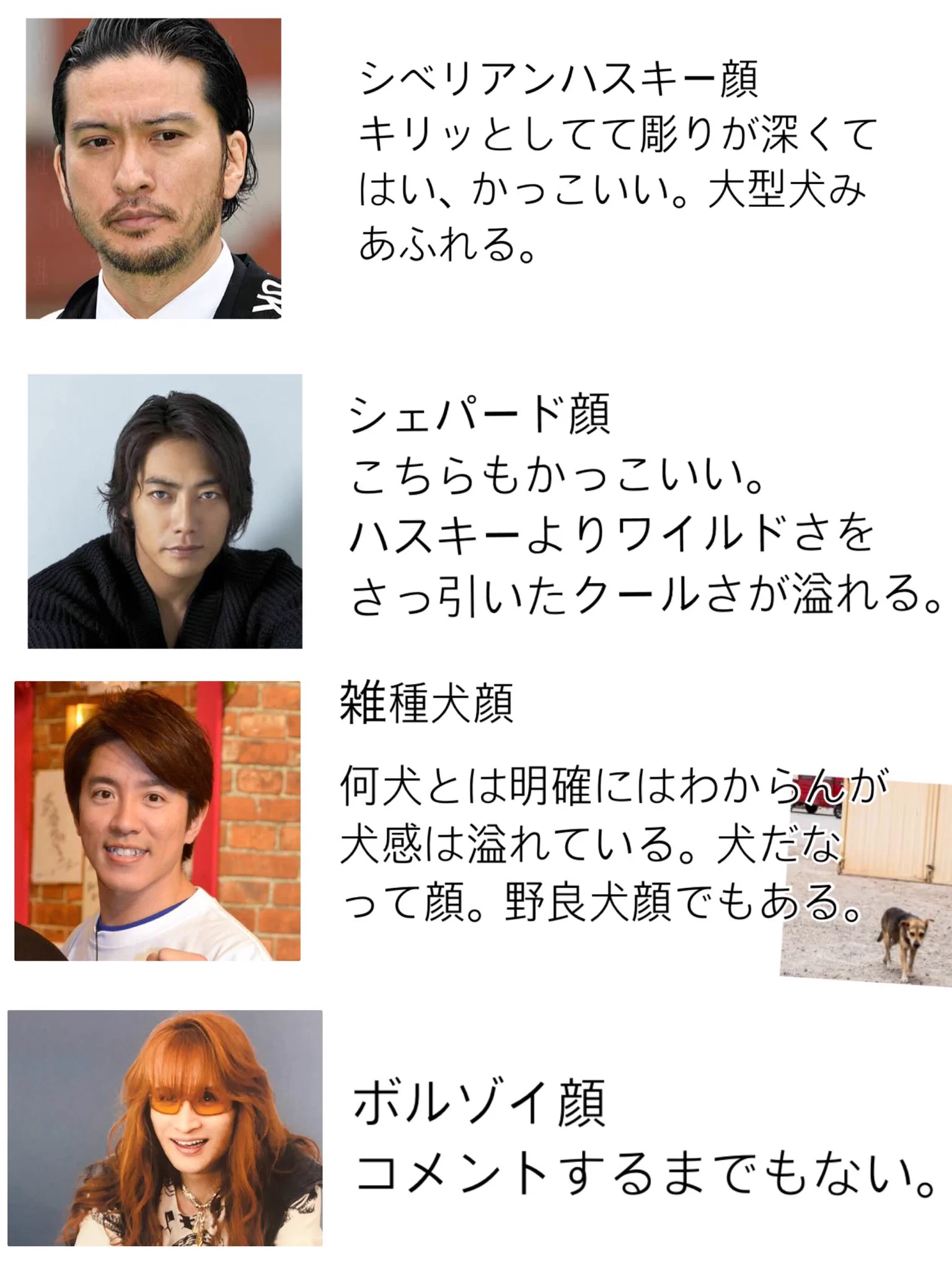 タイプの犬顔はどの人？色んな顔を集めた犬顔集！