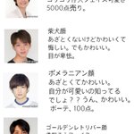 タイプの犬顔はどの人？色んな顔を集めた犬顔集!