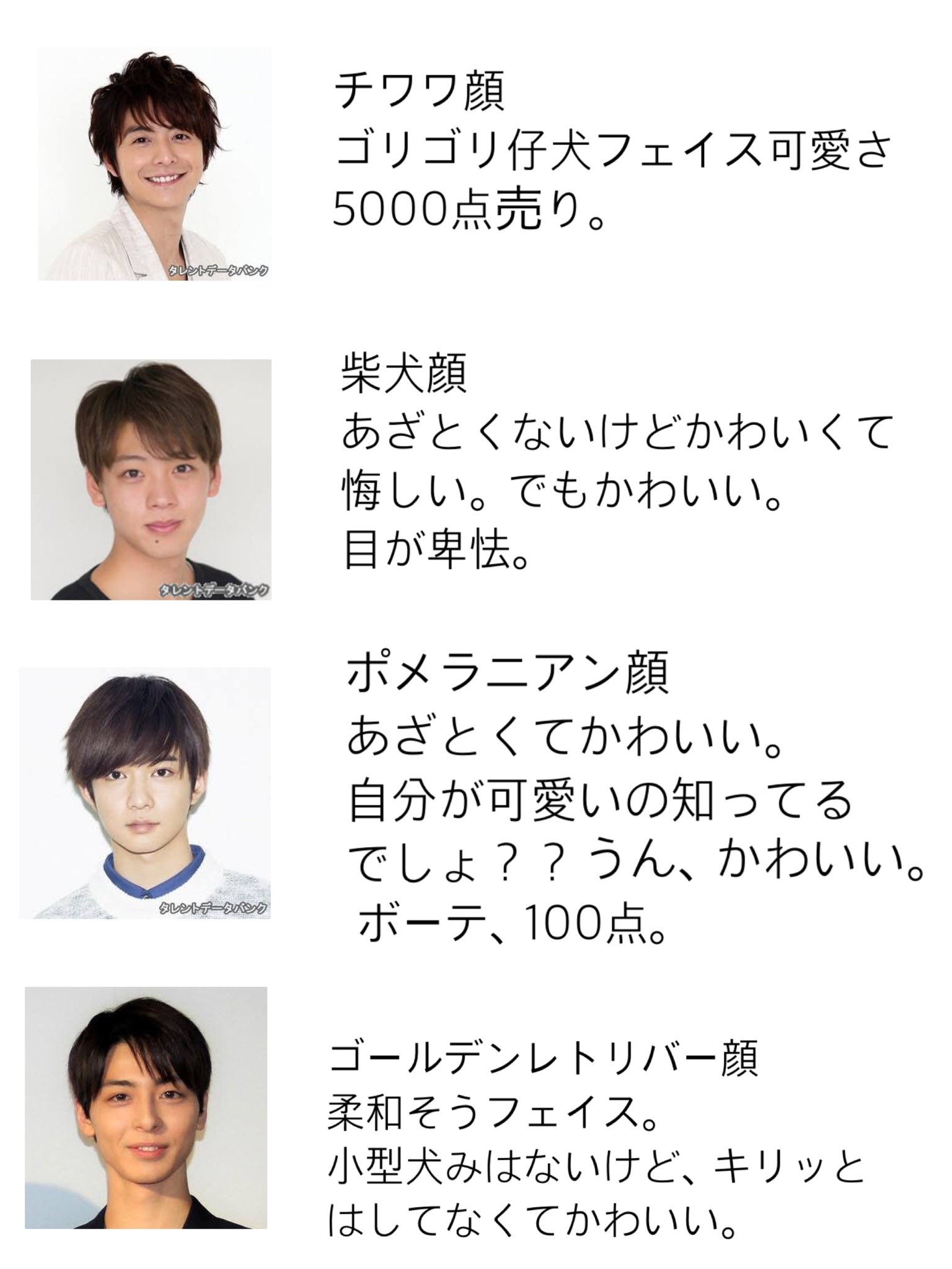 底辺ちゃん 3 19スナックin大阪 犬顔が好きだけど犬顔っていっても色んな犬顔があるよなって思い立ったので作りました T Co 1lmo5uxtto Twitter