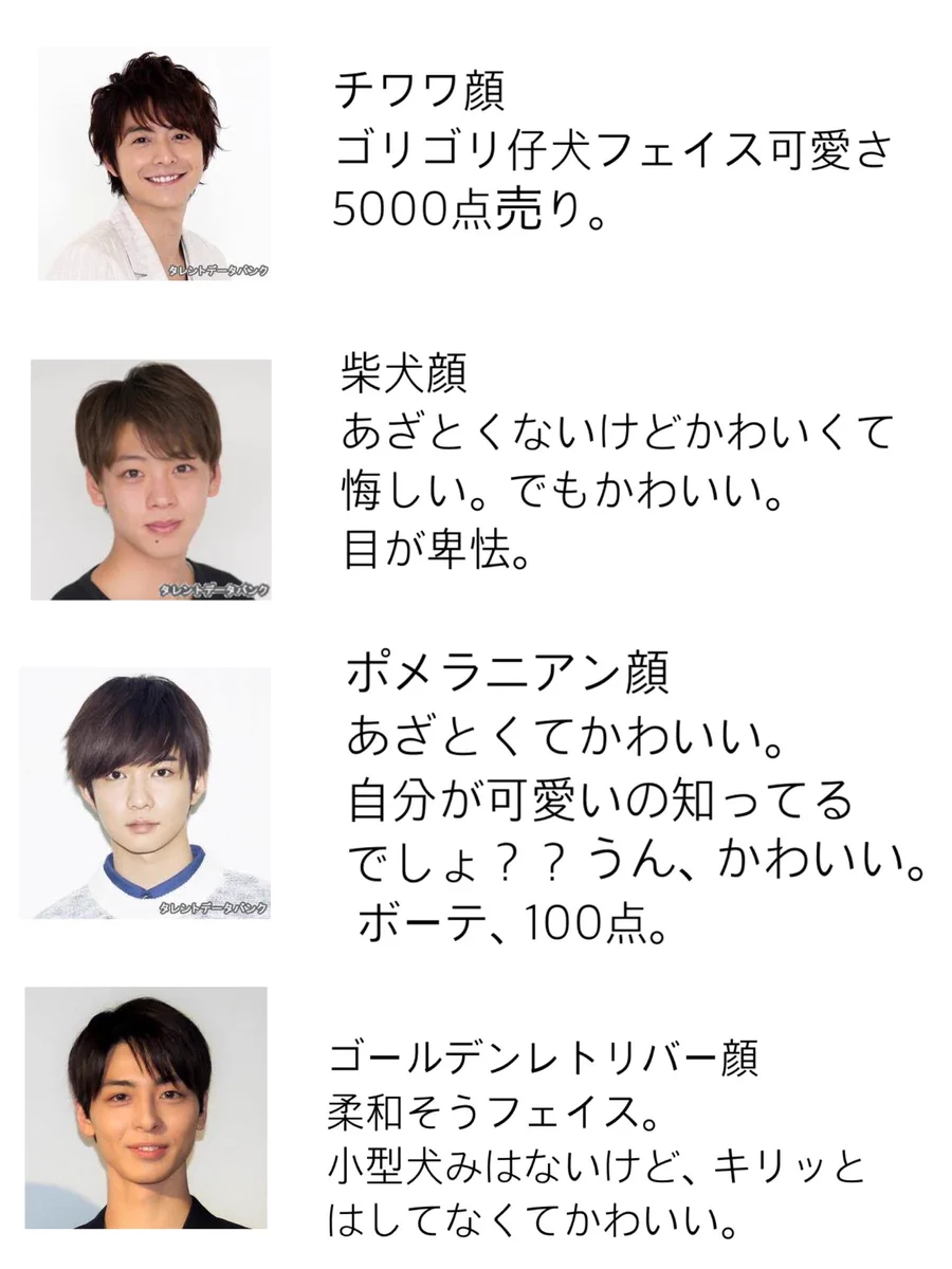 タイプの犬顔はどの人？色んな顔を集めた犬顔集！