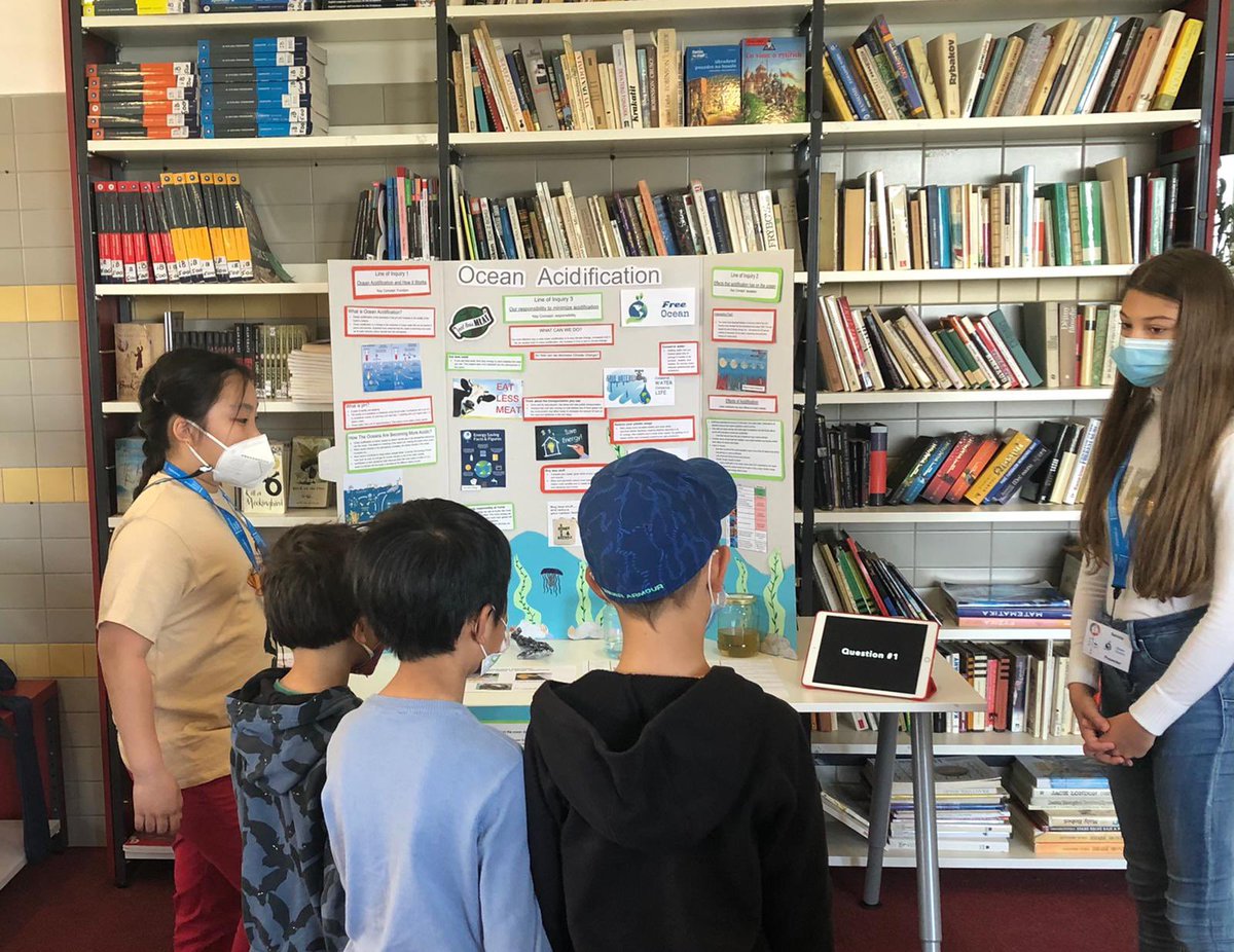International School of Brno tweet media