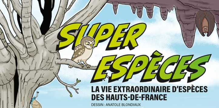 PatNat_HdF's tweet photo. 📢Super espèces⚡️une expo tout en BD ! 
À l’occasion de la « Fête de la nature » et des 25es rdv de la Bande Dessinée d'#Amiens, découvrez sur une mini-prairie urbaine, la #biodiversite de votre région. 
🗓 à partir du 26 mai, en accès libre !
#DrealHdF
👉https://t.co/YzP134q76O https://t.co/dKuYtWdqbm
