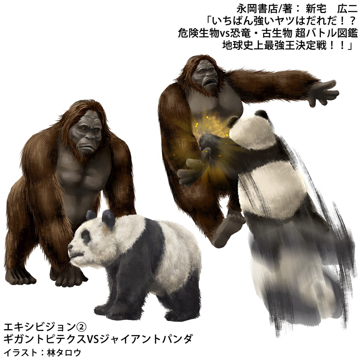 林タロウ フリーランスイラストレーター בטוויטר 仕事告知 いちばん強いヤツはだれだ 危険生物vs恐竜 古生物 超バトル図鑑 地球史上最強王決戦 著 新宅 広二 株式会社永岡書店 の中の エキシビジョンマッチ挿絵3点をデジタル作画で描かせて頂きました 林タロウ フリーランスイラストレーター בטוויטר 仕事告知 いちばん強いヤツはだれだ 危険生物vs恐竜 古生物 超バトル図鑑 地球史上最強王決戦 著 新宅 広二 株式会社永岡書店 の中の エキシビジョンマッチ挿絵3点をデジタル作画で描かせて頂きました