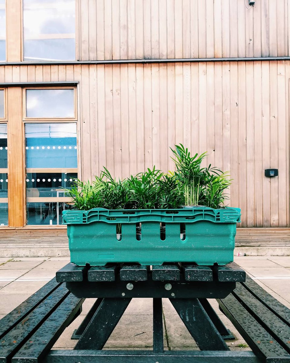 Woolwich Polytechnic School for Boys tweet media