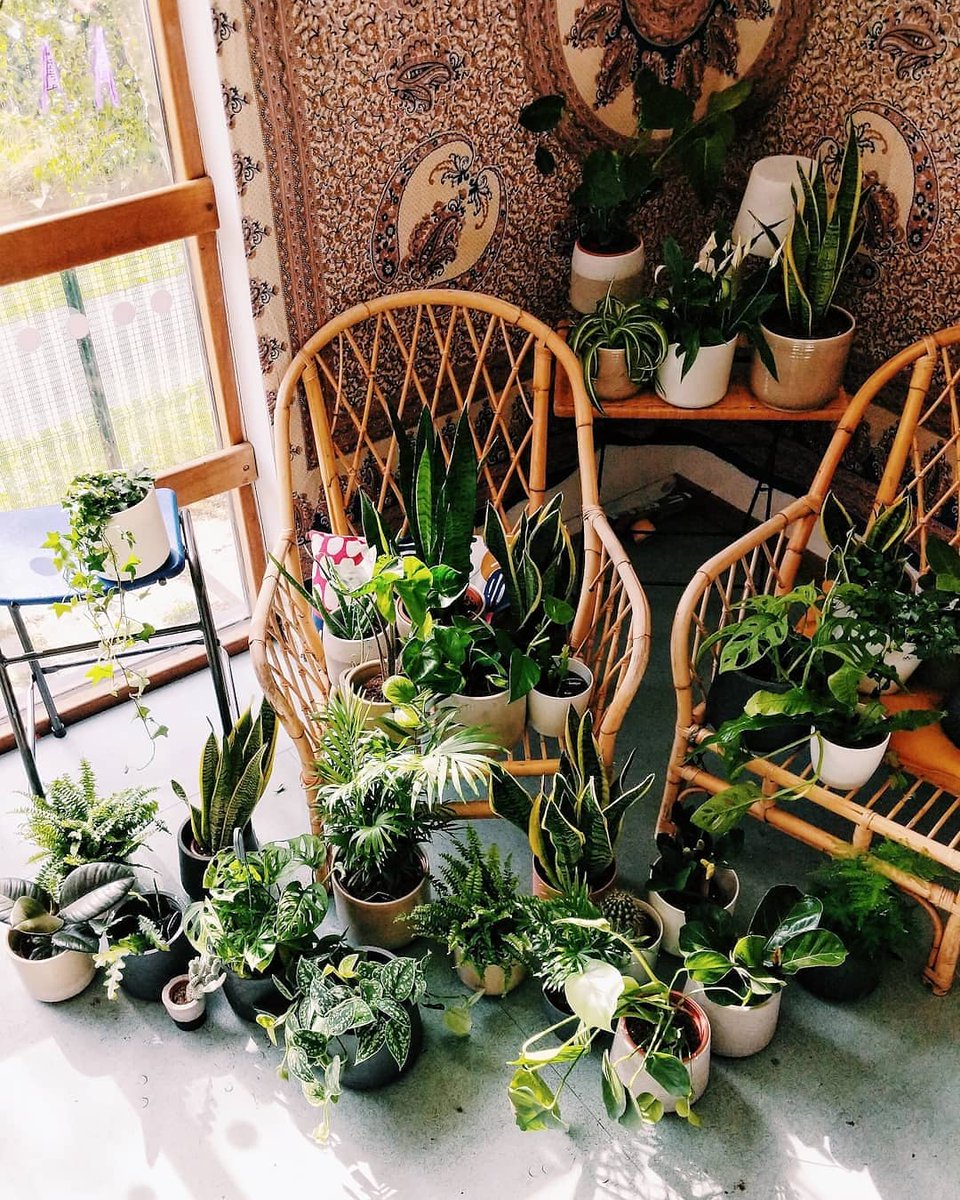 Woolwich Polytechnic School for Boys tweet media