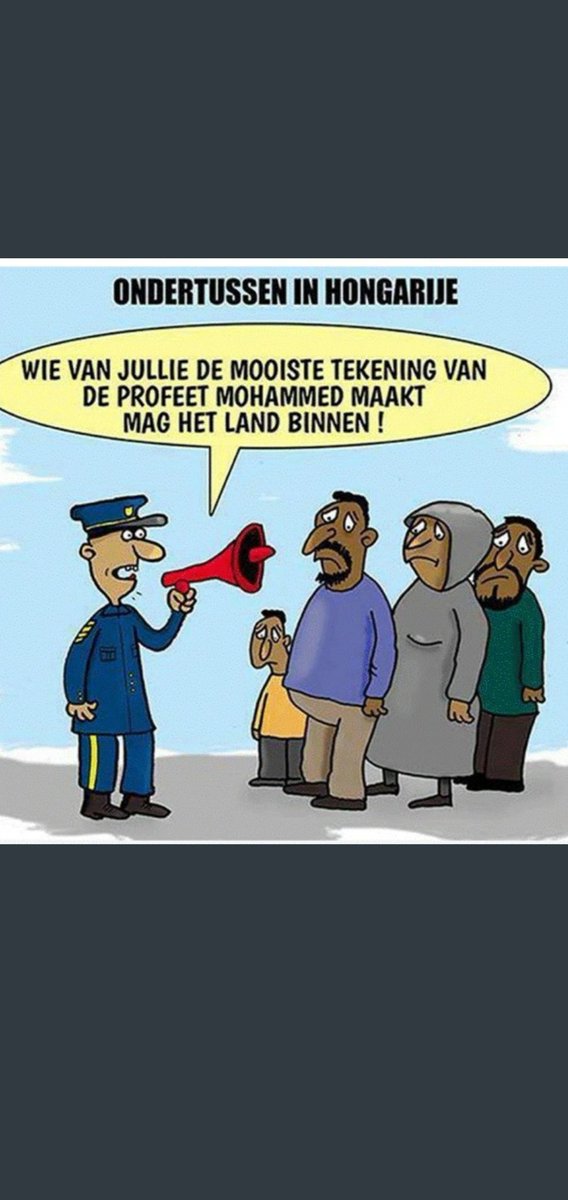 Handige jongens, die Hongaren.