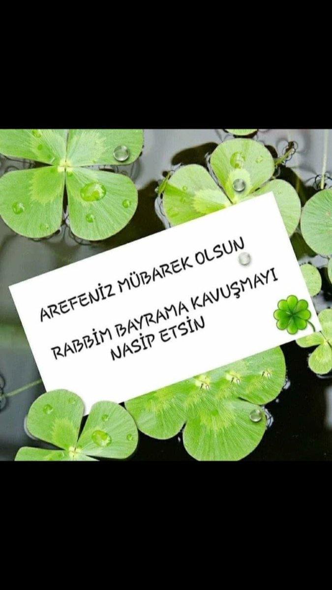 ahmet soykök (@ahmetsoykk) on Twitter photo 