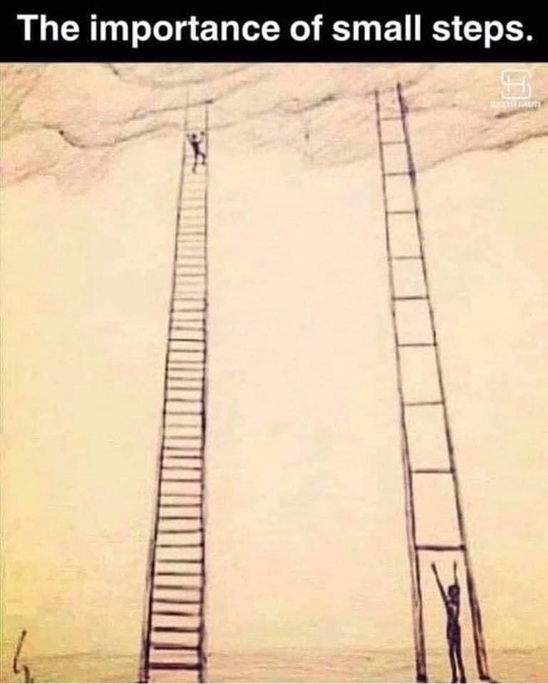 Fiona Millar tweet media