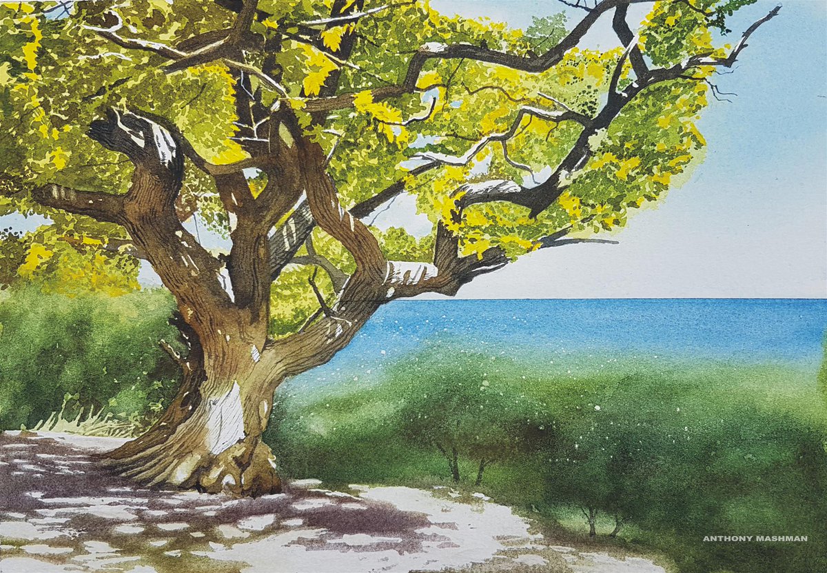 Camb Drawing Society tweet media