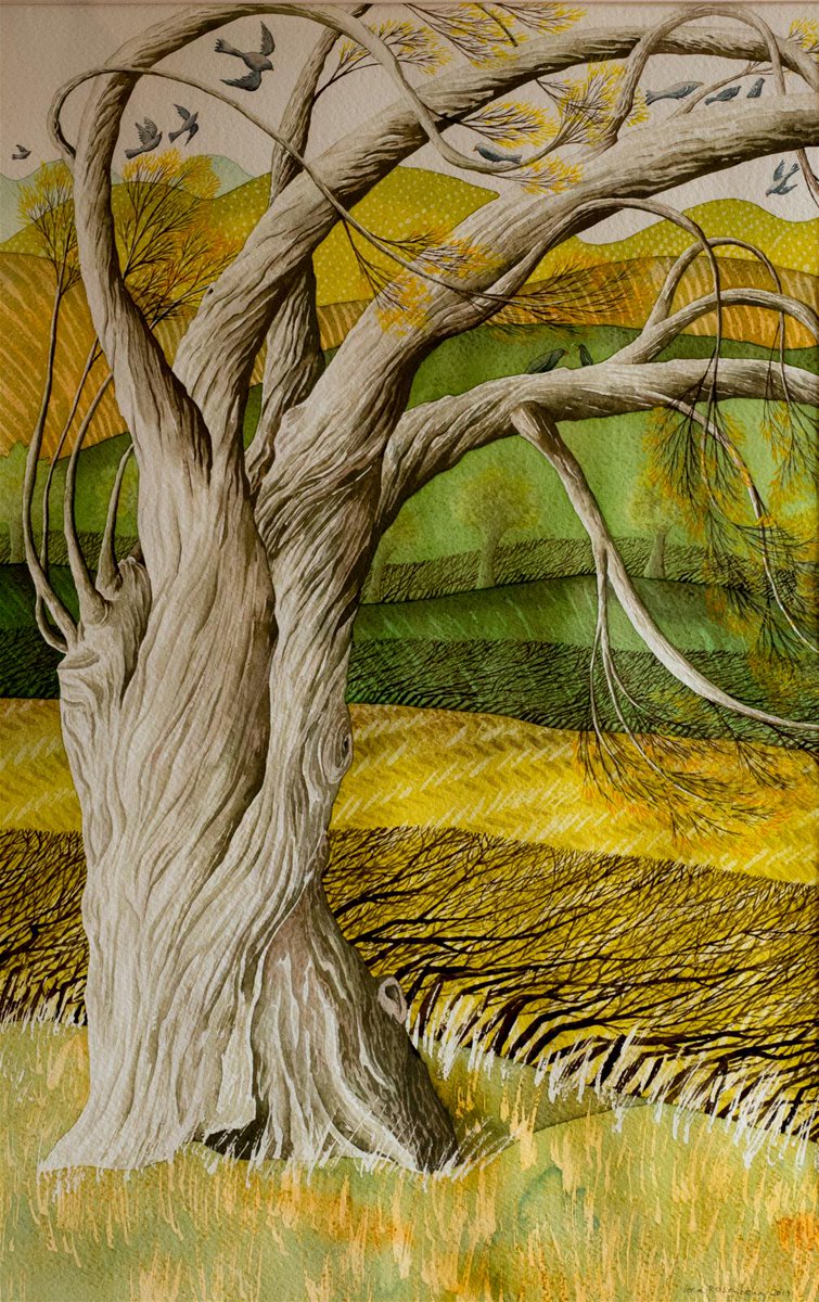 Camb Drawing Society tweet media