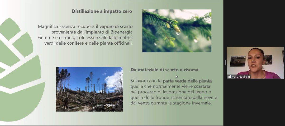 Magnifica Essenza <a href="/visitfiemme/">Val di Fiemme</a> alla Tappa di #Trento #CSRIS21 #EconomiaCircolare in #Trentino 
Produce e distilla oli essenziali in corrente di vapore recuperato dalla centrale a biomasse per un processo produttivo a impatto zero dagli scarti di lavorazione del legno