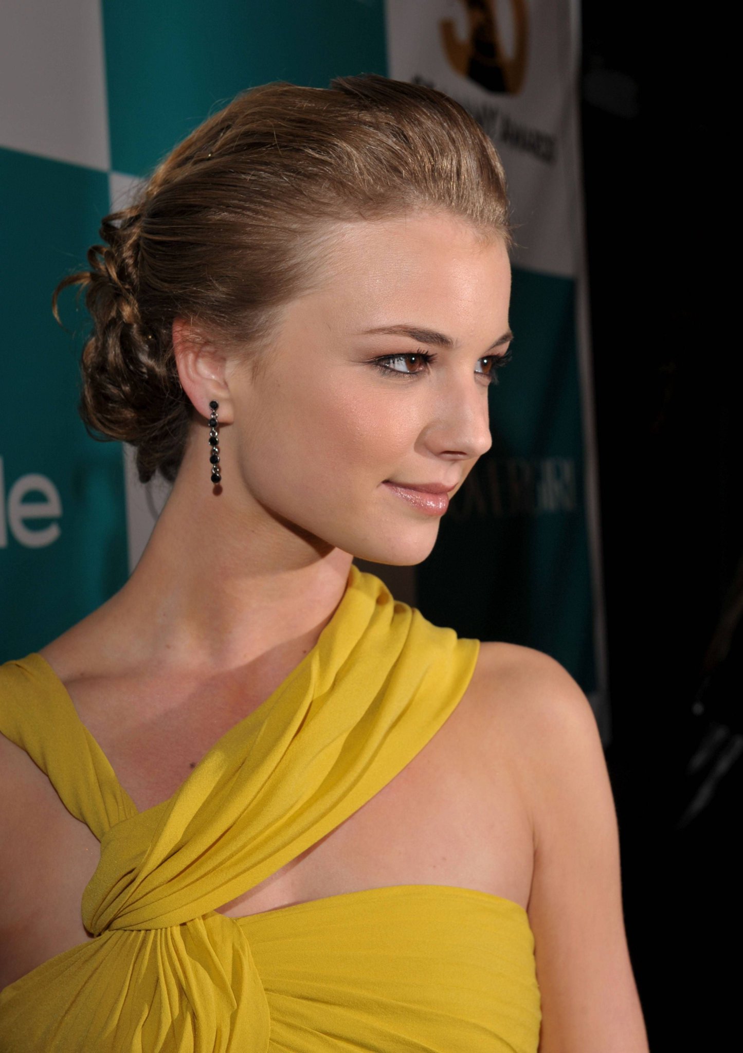 Happy birthday, Emily VanCamp  
