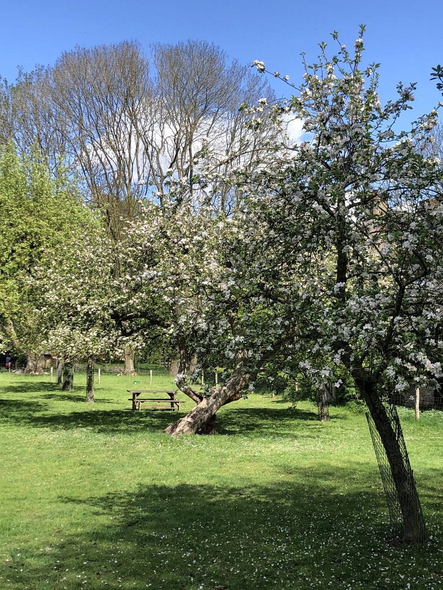 #Orvelte #gezinsuitje #familie #uitjes #voorjaar #meivakantie #gezellig #bloesem #fruitbomen #boomgaard #nostalgie #schaapskudde #lammetjes #Oerdrenthe #Drenthe #OerOrvelte #bezoek #eropuit