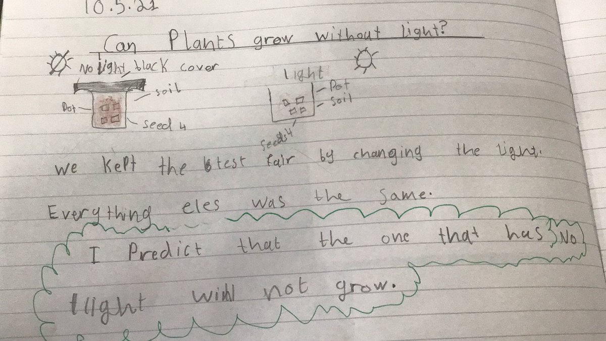 STC_6ED's tweet photo. Can plants grow without light? 💡. 
We have conducted an experiment to test this question, and made our predictions 🧐 #stcstem https://t.co/zHDhrdwQiM