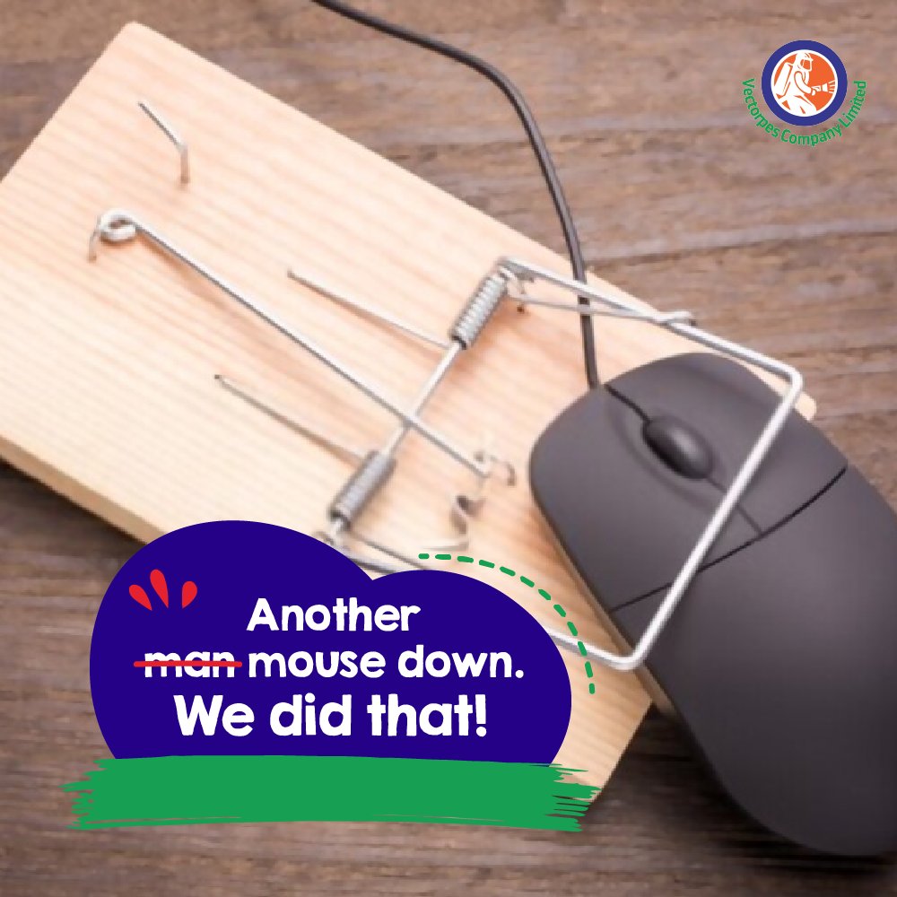 vectorpesgh's tweet image. Not your regular "Makola kwakwe" exterminators.
Don’t wait until the pests gain too much weight in the comfort of your home😂

#Vectorpes 
#SafeAndEffective
#SafeAgain