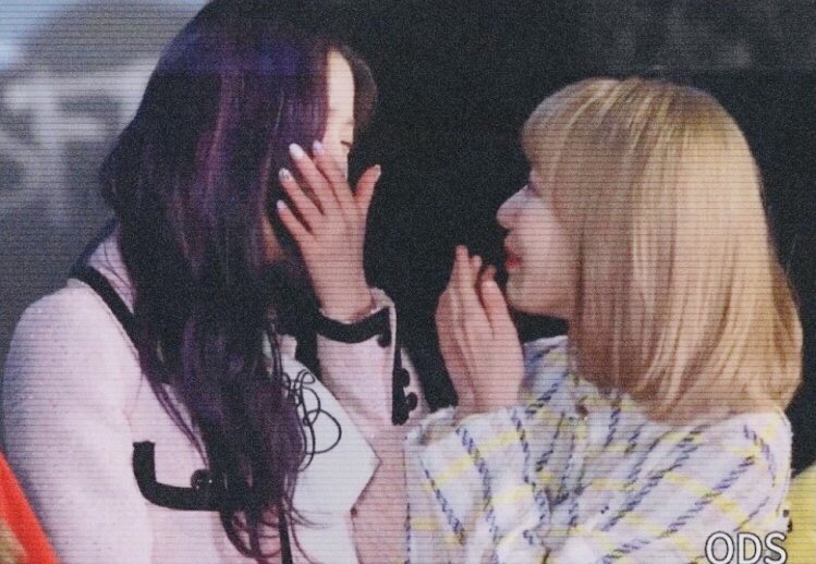 kkura_zone's tweet photo. 🐰🌸 https://t.co/pqfJe7vqlQ