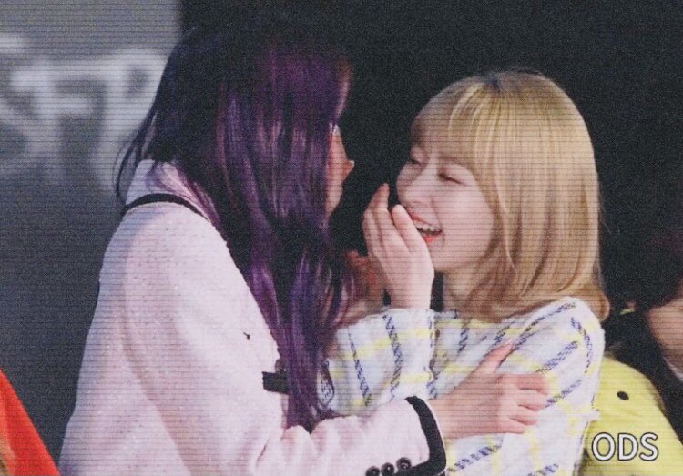 kkura_zone's tweet photo. 🐰🌸 https://t.co/pqfJe7vqlQ